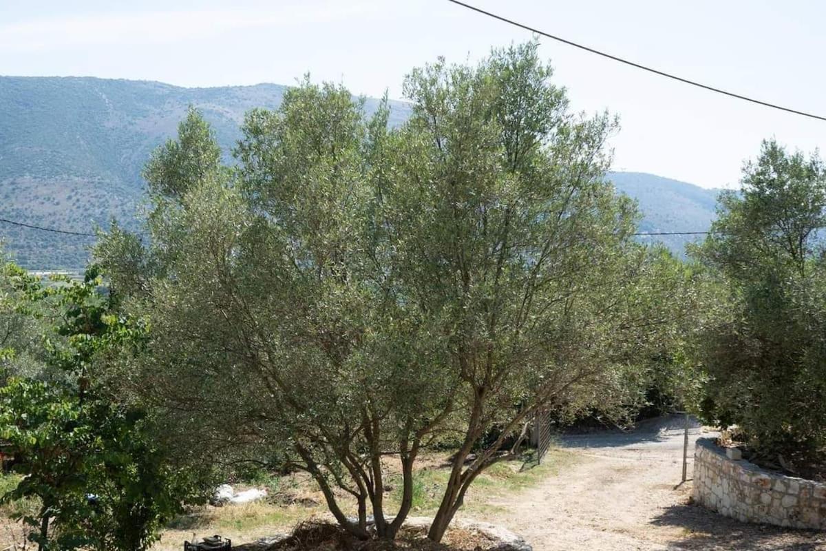 Catherine'S House Igoumenitsa Exterior foto